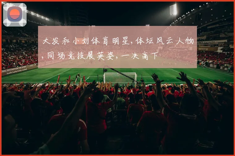大发和小刘体育明星,体坛风云人物,同场竞技展英姿,一决高下